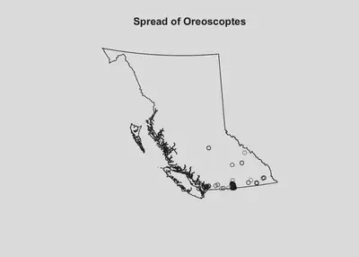 Figure 1: Oreoscoptes in BC